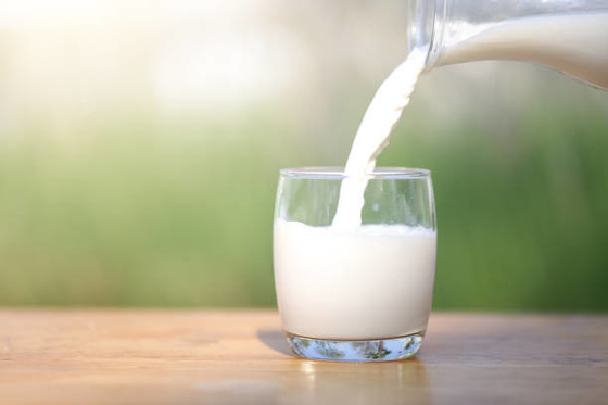 FDA Emulsifier Distilled Monoglyceride DMG95 GMS99 E471 برای نوشیدنی های پروتئین