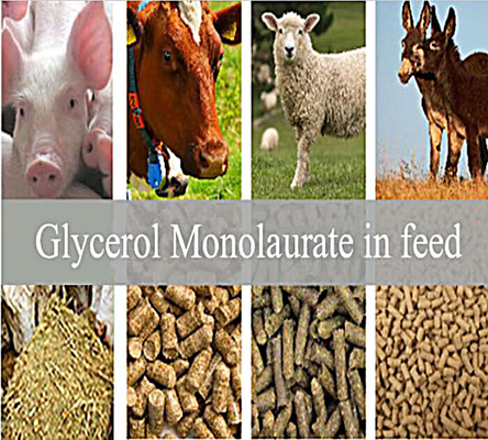 مواد افزودنی خوراک: پودر Glycerol Monolaurate GML80 برای حیوانات