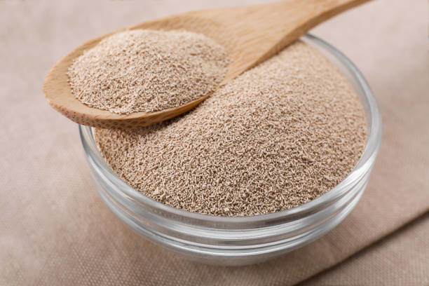 1338-41-6 حامل افزودنی مواد غذایی مخمر فعال Sorbitan Monostearate E491 SPAN60